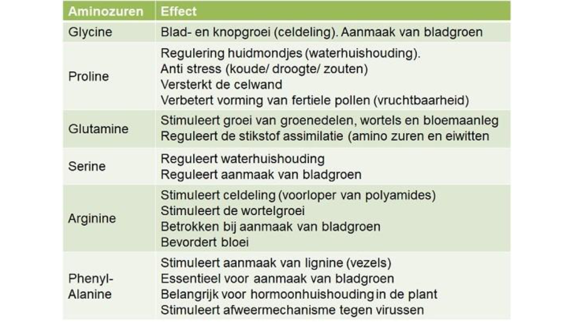 Waarom Isabion