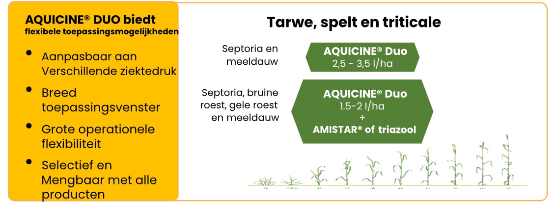 AD resultaten 000