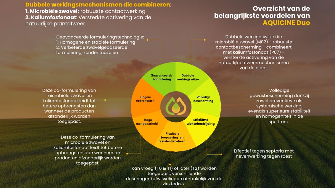 Visual AD NL