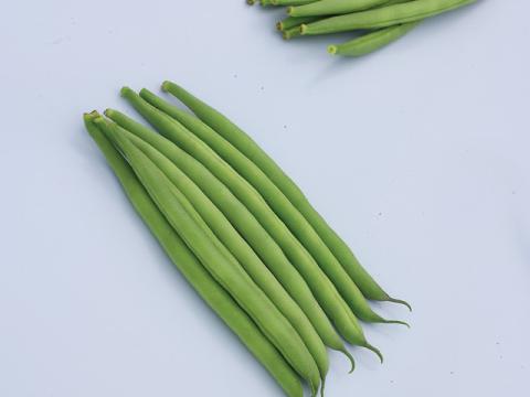 Casher, Bean