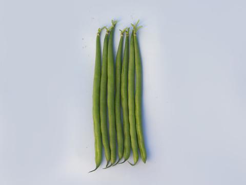Kapron, Bean