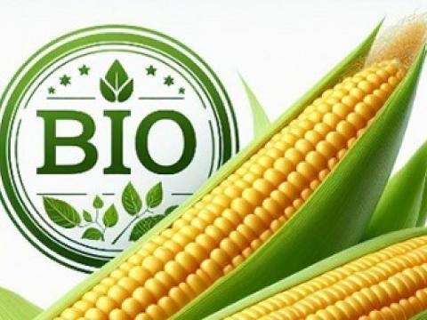 naar het gamma bio-maiszaden van Syngenta