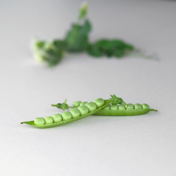 Dorsette, Pea