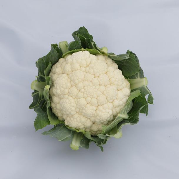 Guideline, Bloemkool