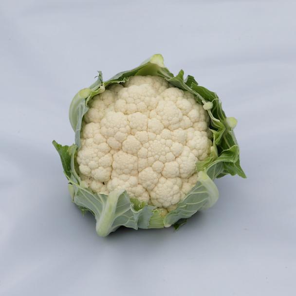 Huberto, Bloemkool
