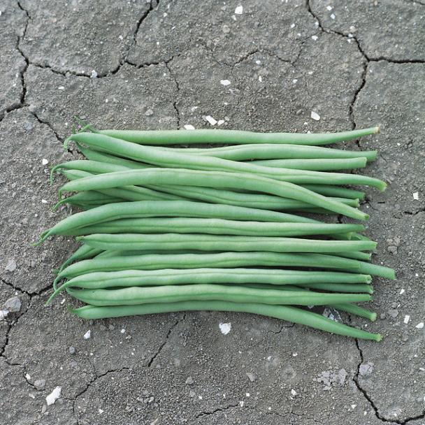 Pierroton, Bean