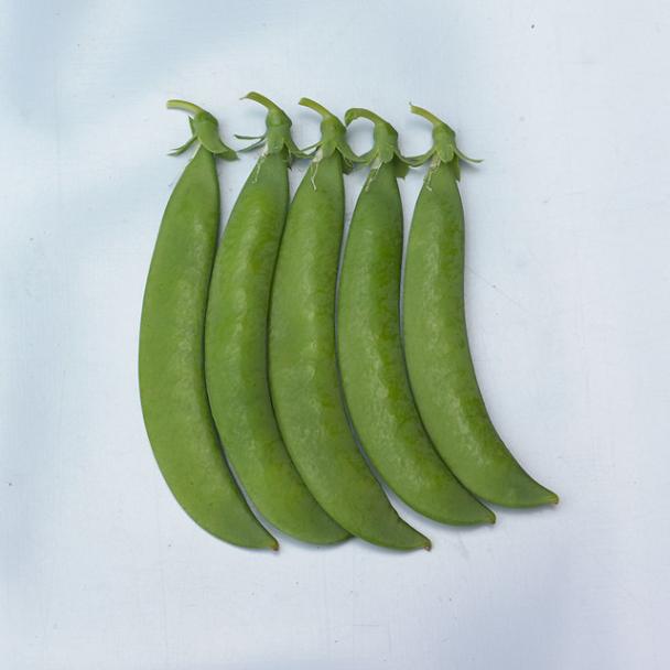 Trivert, Pea