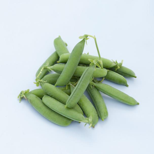 Trophee, Pea