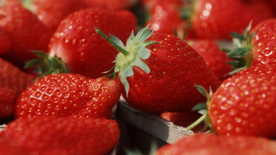 Aardbei