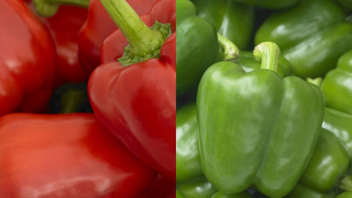 Syngenta - Sterk in paprika