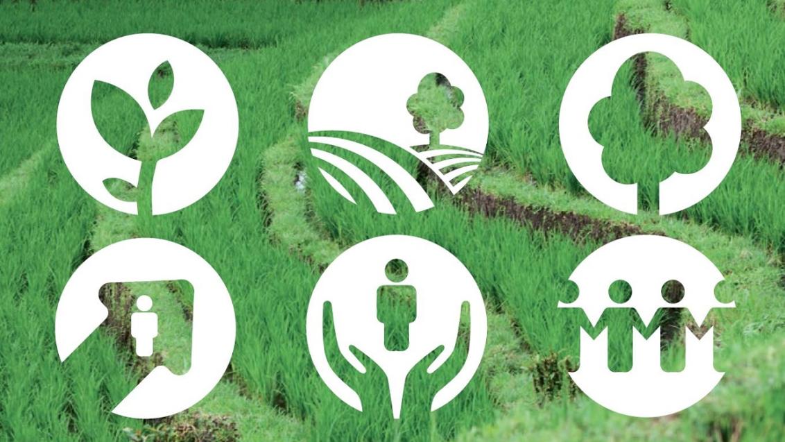 Good Growth Plan