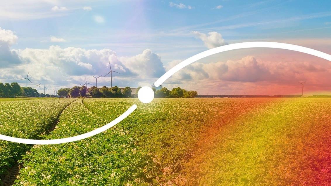 Wat zijn groene middelen?