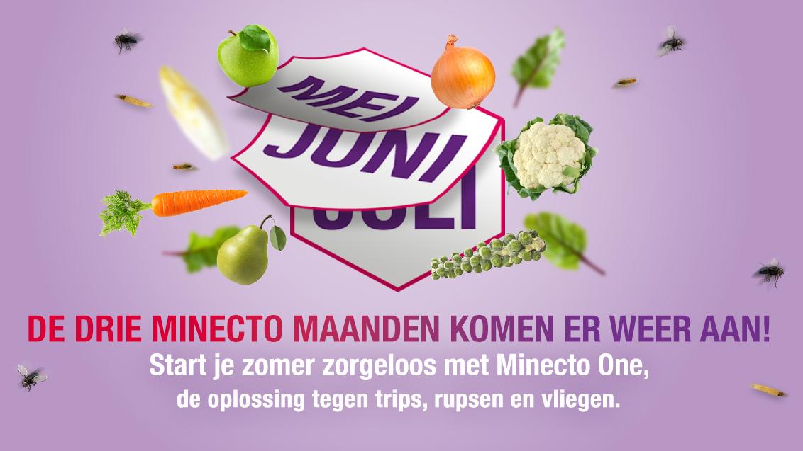 Minecto One