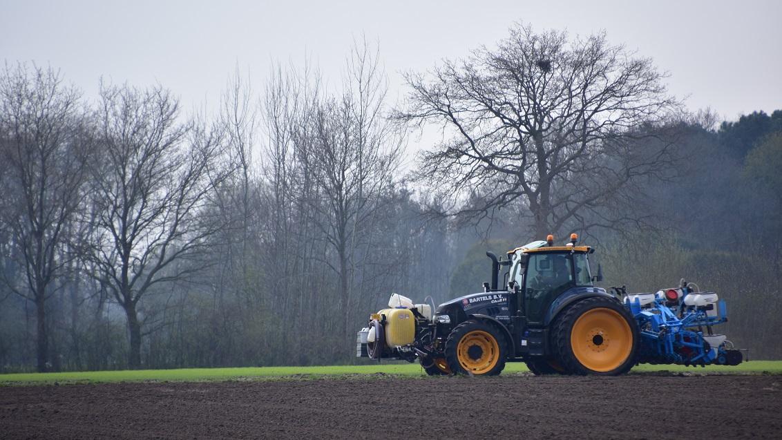 Door het extreem natte voorjaar zal er in juni ook nog flink maïs gezaaid worden. Welke rassen zijn geschikt voor late zaai en waar moet ik verder nog op letten qua zaaidichtheid?