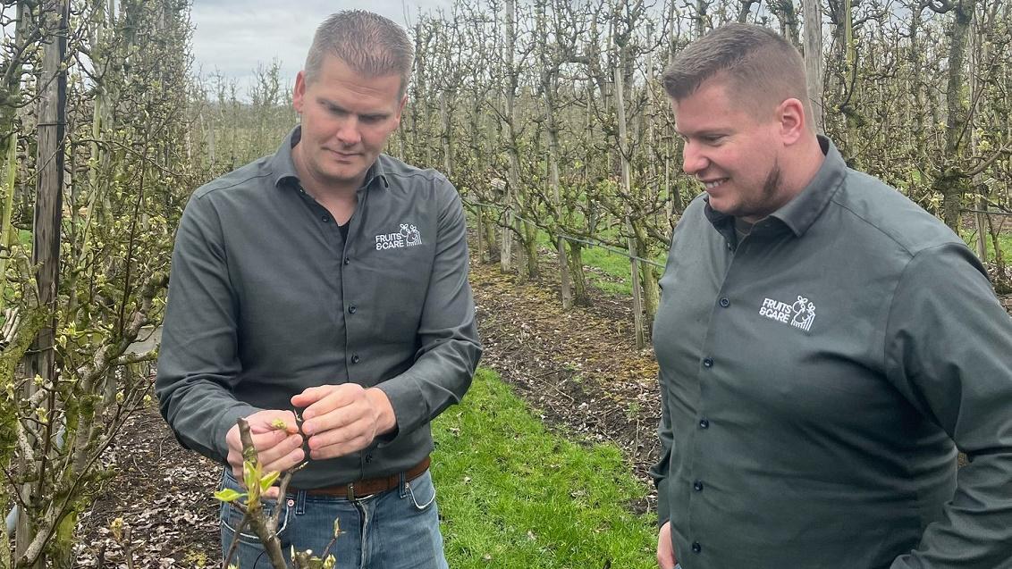 Hans en Maikel in de appelboomgaard maart 2025