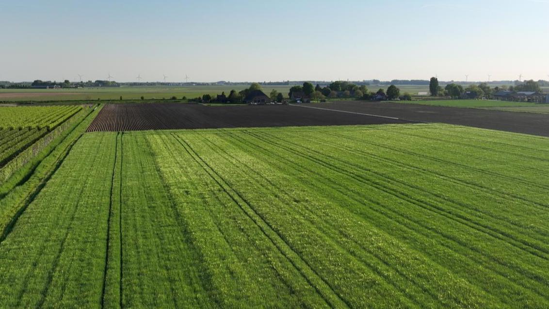 Drone beelden Kelly bij Bom