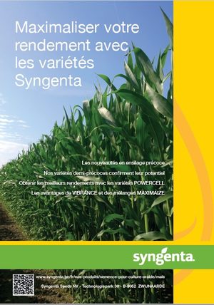 Maximaliser votre rendement avec les variétés Syngenta