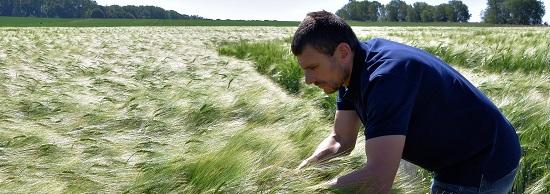 Maak kennis met onze HYVIDO Hybride gerstrassen voor een optimaal resultaat jaar na jaar