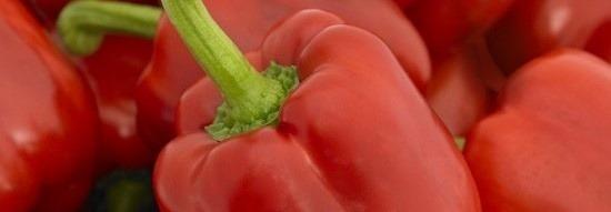 Bescherm uw groentegewas optimaal met Farmore Technology.