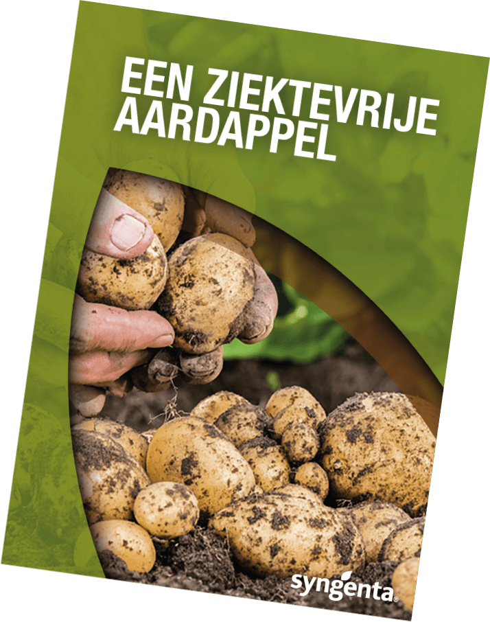 Gratis ziektevrije aardappelgids van Syngenta over ziektebestrijding.