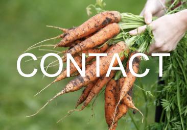 Groentenplatform contact