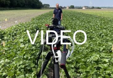 Groentenplatform video