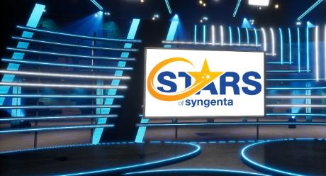 Stars of Syngenta Decor