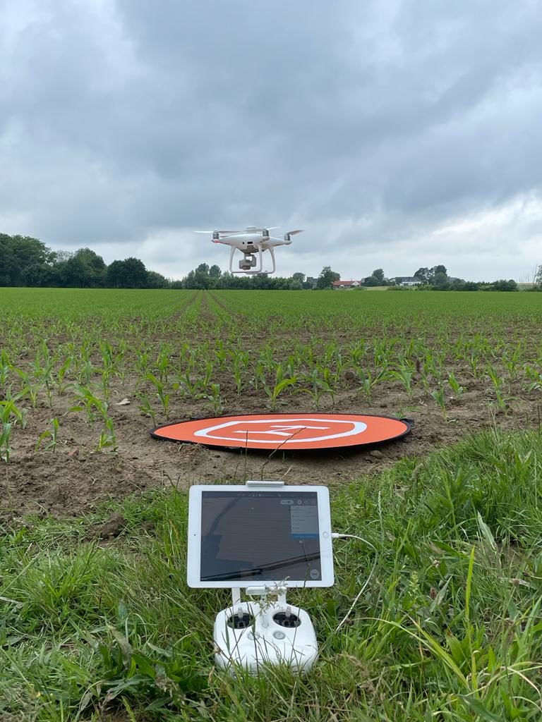 Drone wordt ingezet voor plantentellingen