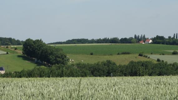 Emissie beperking