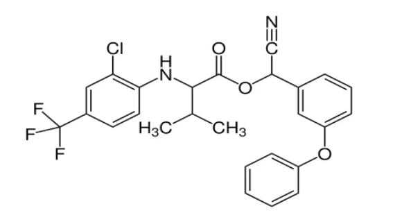 Molecule