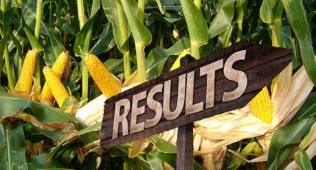 Mais Resultaten VARMABEL, CIPF en PPO-CSAR(NL)