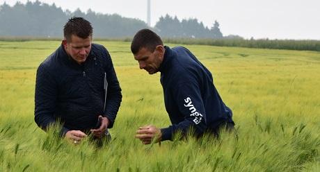 "Meten is weten : HYVIDO vous offre un surplus de rendement allant jusqu'à 600 kg par hectare"