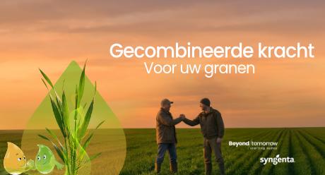 KV ad 001 NL