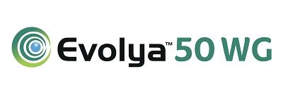 1578475294939263464-Evolya logo 400x135.jpg