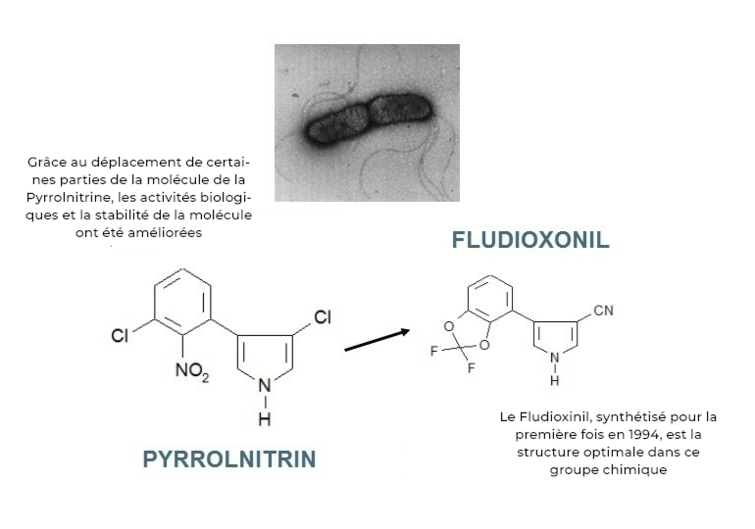 Fludioxonil – Histoire de la substance active