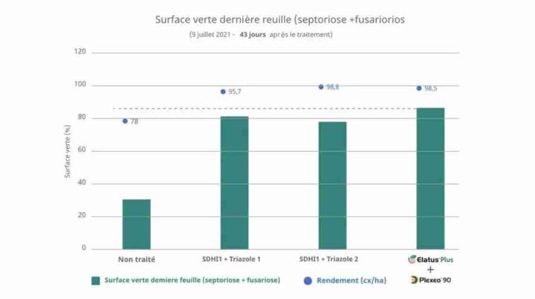 Elatus Plus en Plexeo 90 Surface verte derniere reulle
