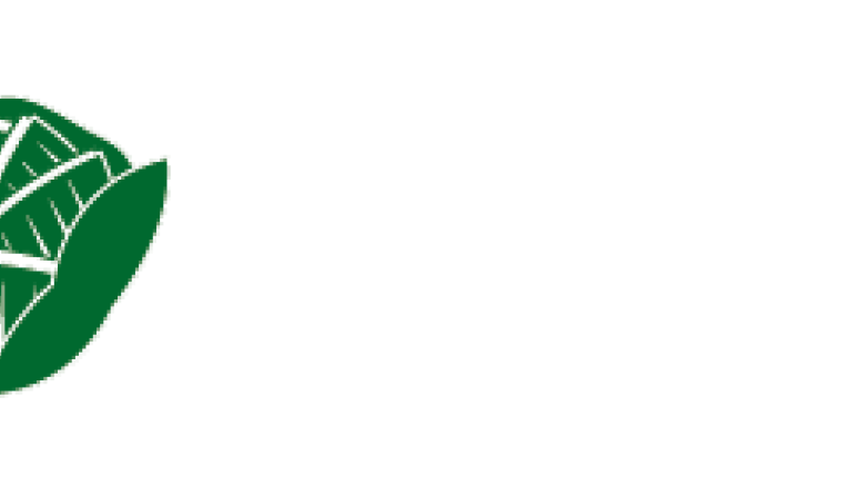 Elastor, Sluitkool