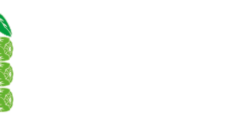 Profitus, Spruitkool