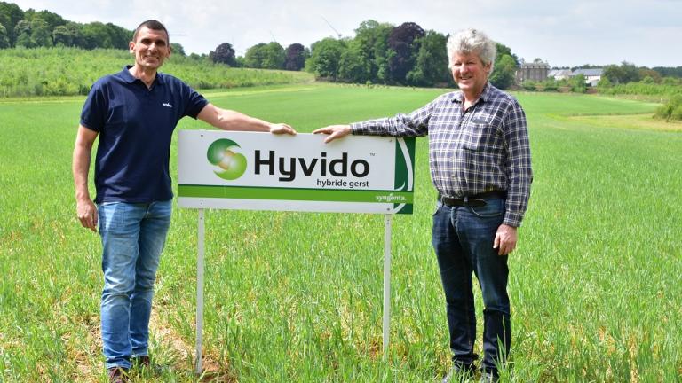 Hyvido hybride gerst een keer zaaien, 2 x oogsten