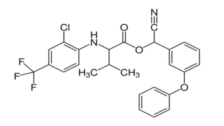 Molecule