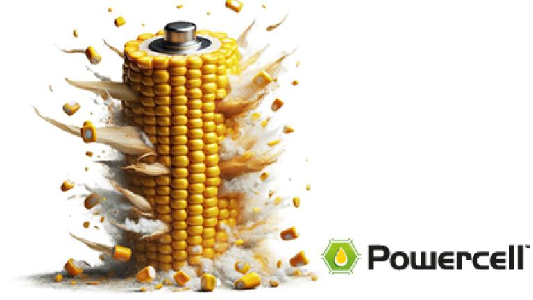 MaxiMaize 237: POWERCELL™ mengsel voor de hoogste VEM- en zetmeelopbrengsten per hectare