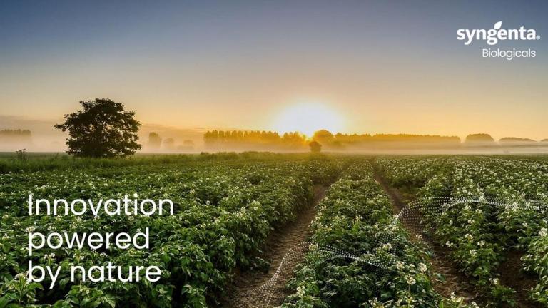 Innovation powered by nature