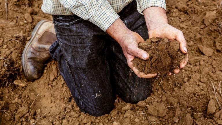 Tips: Enkel de juiste  bodem pH zorgt voor optimale opname van bemestingselementen en mineralen. Waar moet u op letten?