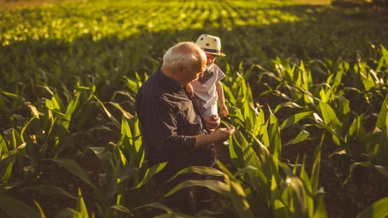 1132x637_bnl_farmer on corn farm