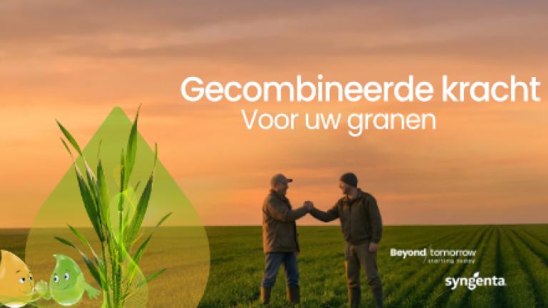KV ad 001 NL