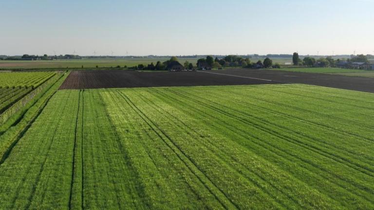 Drone beelden Kelly bij Bom