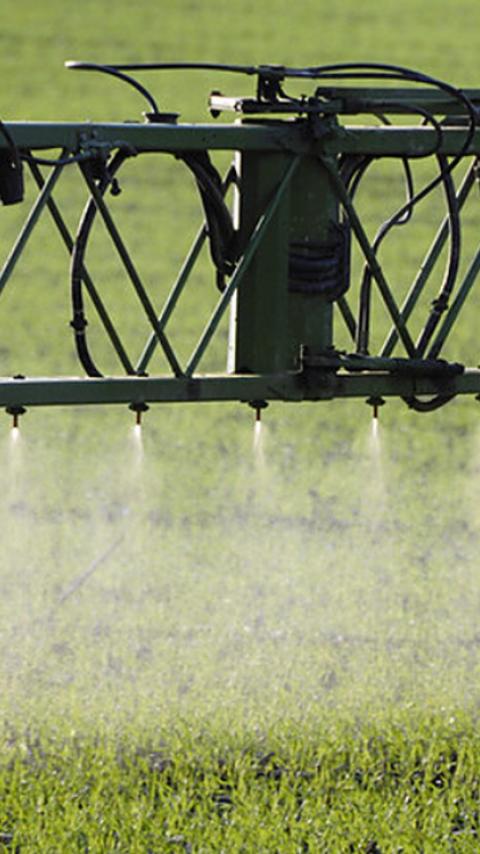 Sproei-installatie die waternevel over een groen veld verspreidt