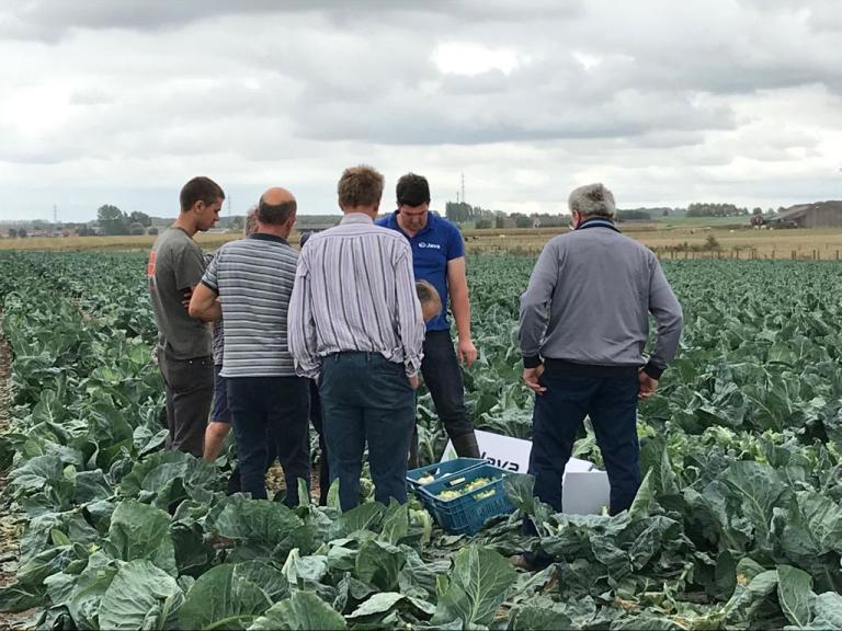 Open dag JAVA september 2019
