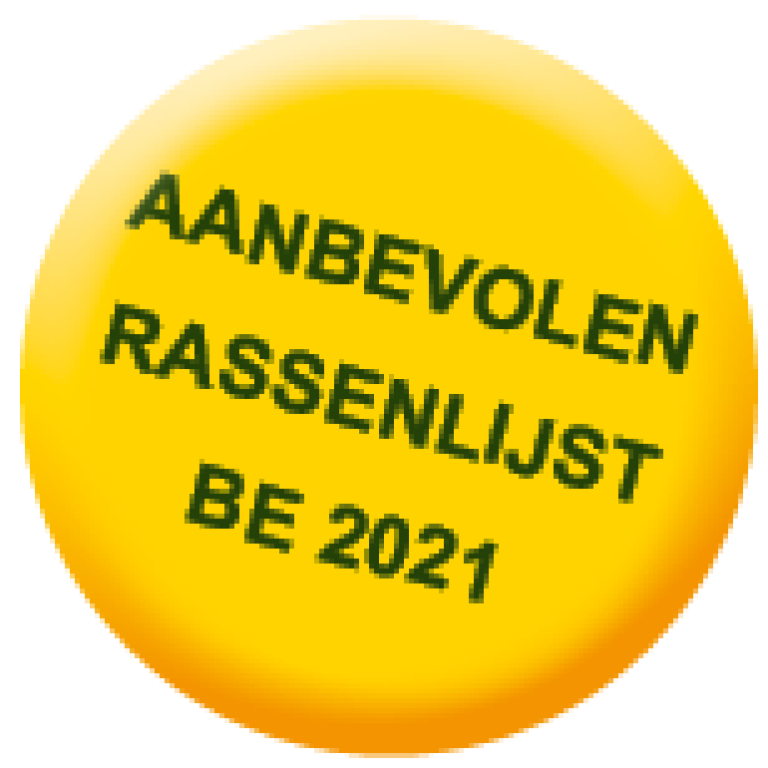 Aanbevolen rassenlijst Belgie mais