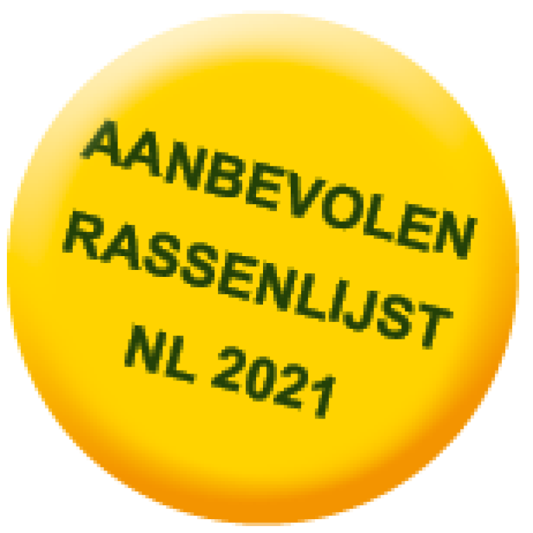 Op aanbevolen rassenlijst mais Nederland NL 